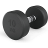 Гантель UNIX FIT PRO круглая обрезиненная 10 кг DBRND10PBKx2
